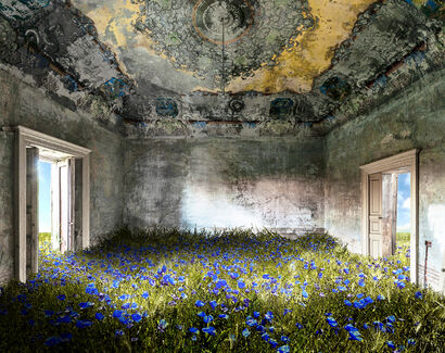 Les coquelicots blues - a Photographic Art Artowrk by ALDO SALUCCI
